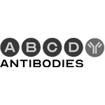 logo abcd